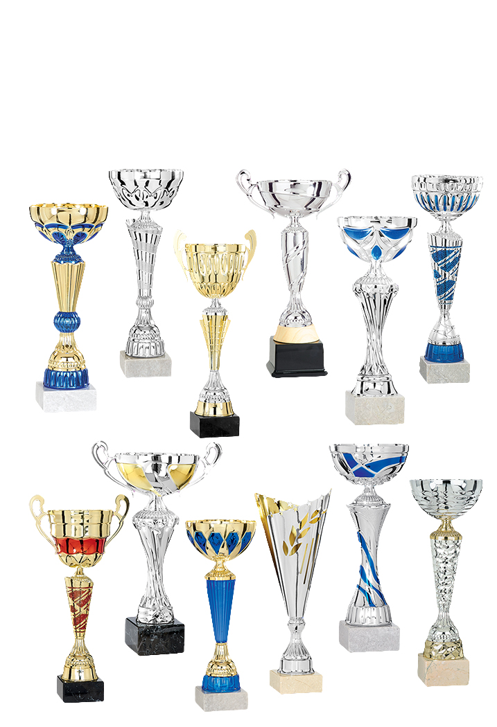 LOT DE 12 COUPES H.MOYENNE 35 CM 2025-4