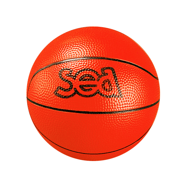 BALLON DE BASKETBALL - DECOUVERTE