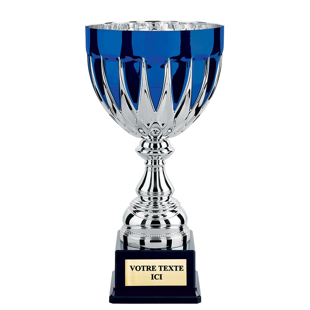 COUPE CLASSIQUE ARGENT BLEU CP4286
