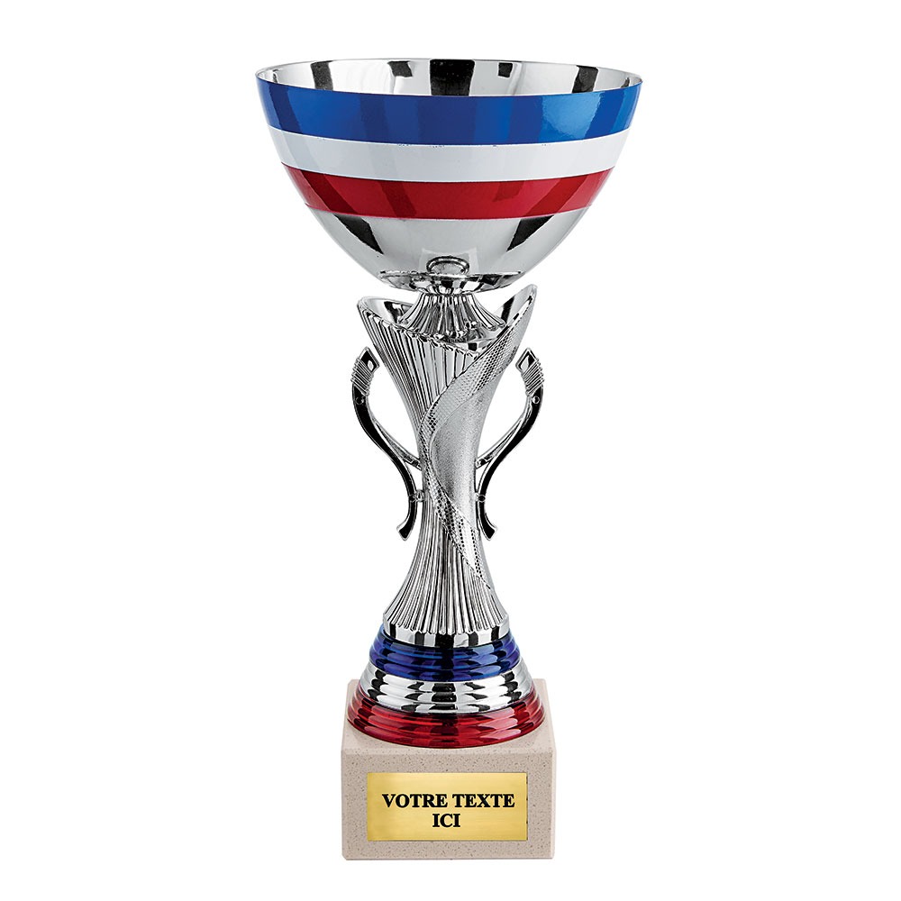 COUPE CLASSIQUE ARGENT BLEU BLANC ROUGE CP5254