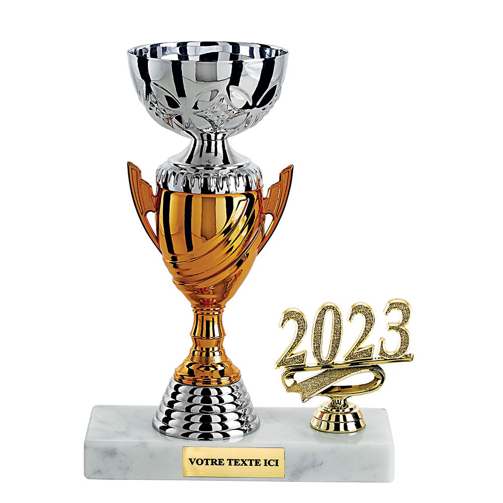 COUPE TROPHEE COLONNE DISCIPLINE AU CHOIX CP5302