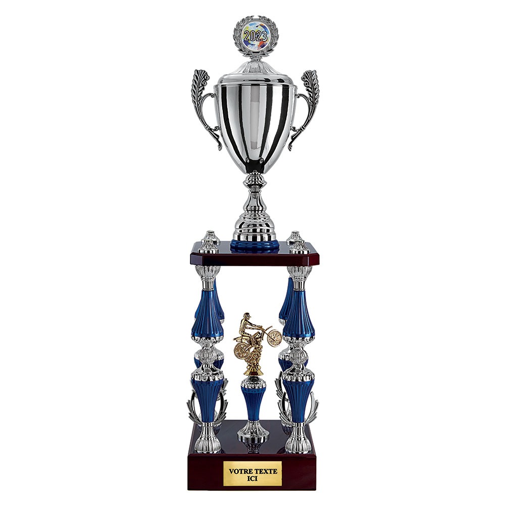 COUPE TROPHEE COLONNE DISCIPLINE AU CHOIX PERSONNALISEE CP5308