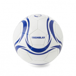 BALLON DE FOOTBALL PREMIER PRIX - SCOLAIRE