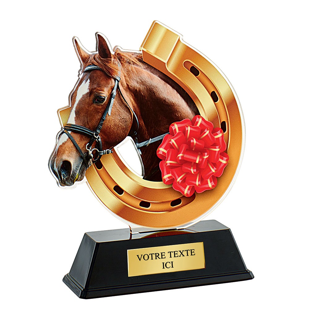 TROPHEE ACRYLIQUE EQUITATION 16 CM PN025