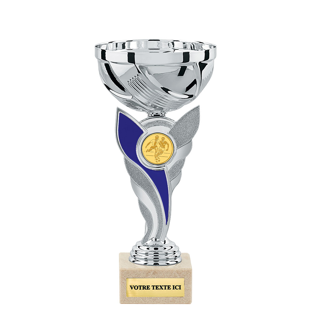 COUPE ÉCONOMIQUE ARGENT / BLEU - CP4219