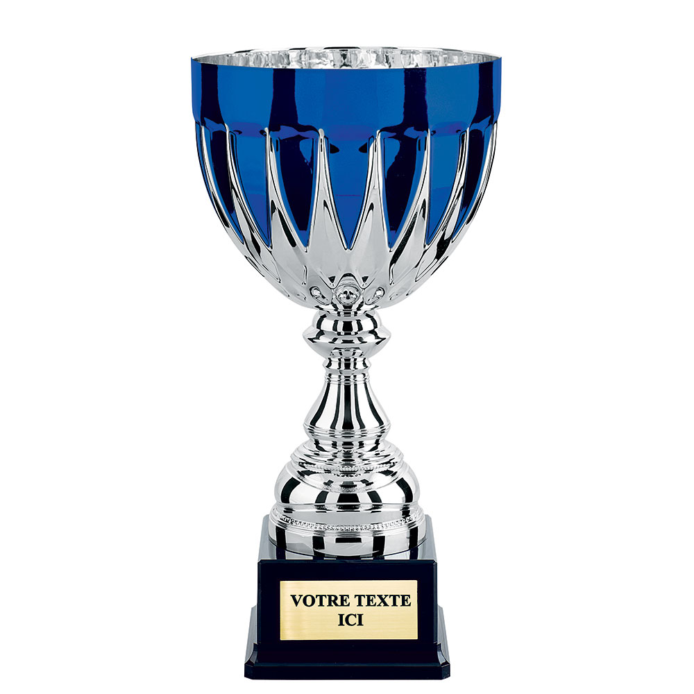 COUPE CLASSIQUE ARGENT / BLEU - CP4286