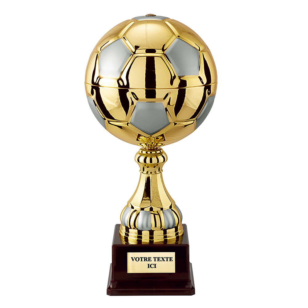 COUPE DISCIPLINE FOOTBALL OR / ARGENT MAT - CP4336A