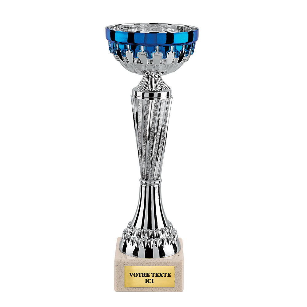 COUPE ÉCONOMIQUE ARGENT / BLEU - CP5211A