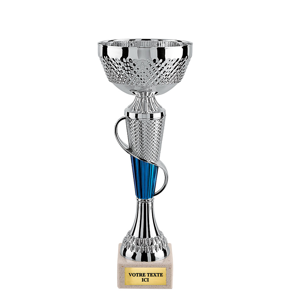 COUPE ÉCONOMIQUE ARGENT / BLEU - CP5219A