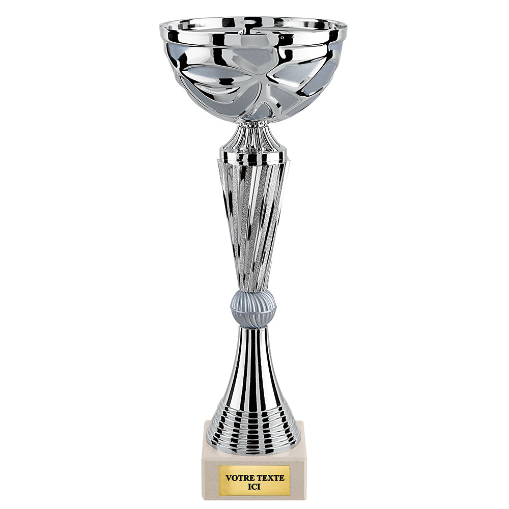 COUPE ÉCONOMIQUE ARGENT / ARGENT MAT - CP5223A