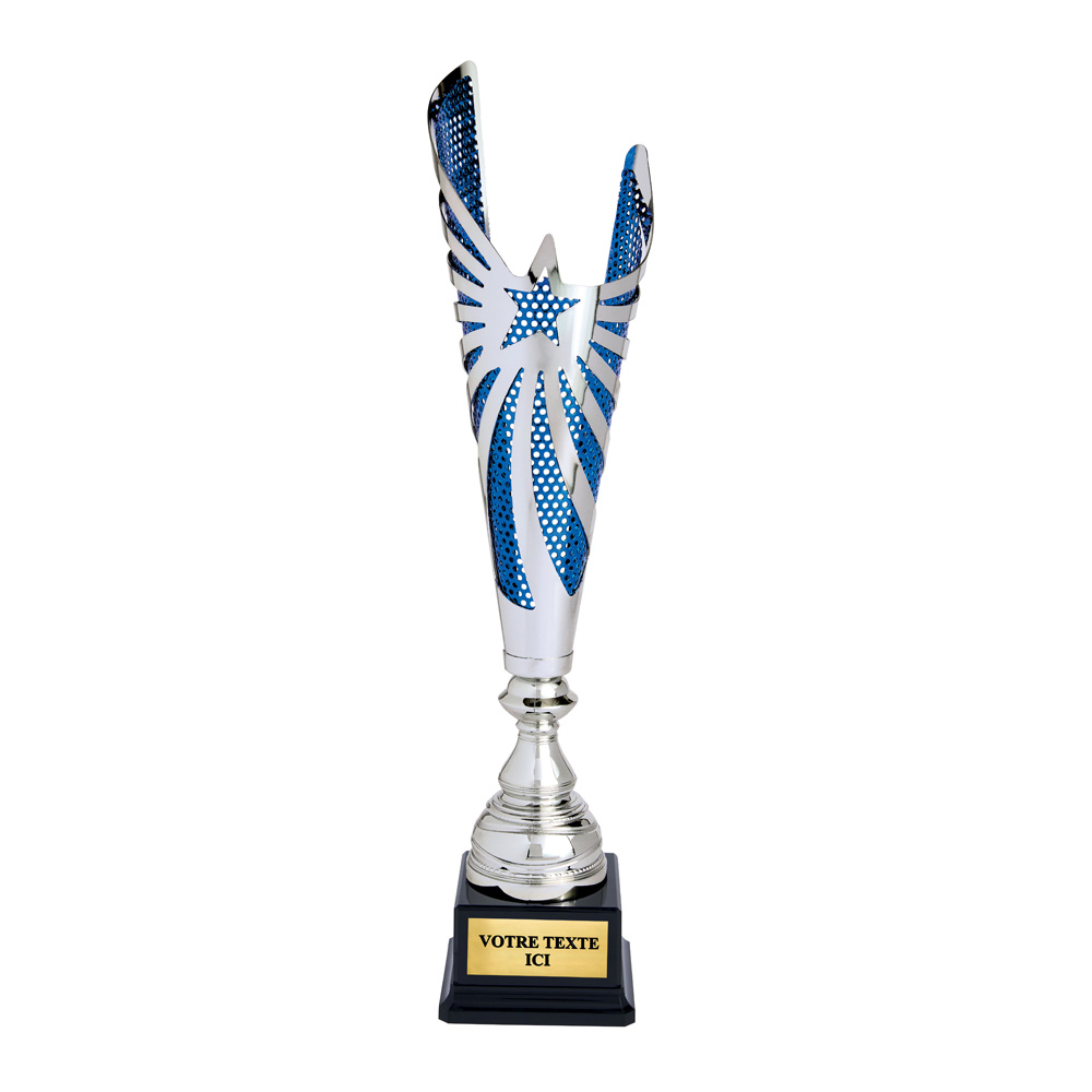 COUPE CLASSIQUE ARGENT / BLEU - CP5362A