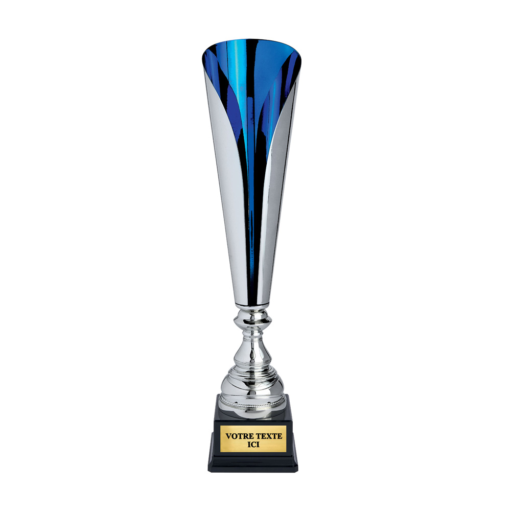 COUPE CLASSIQUE ARGENT / BLEU - CP5365A