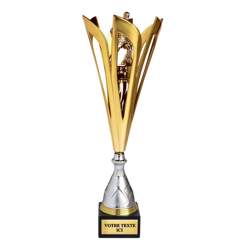 COUPS DISCIPLINE OR / ARGENT 47 CM - CP5373