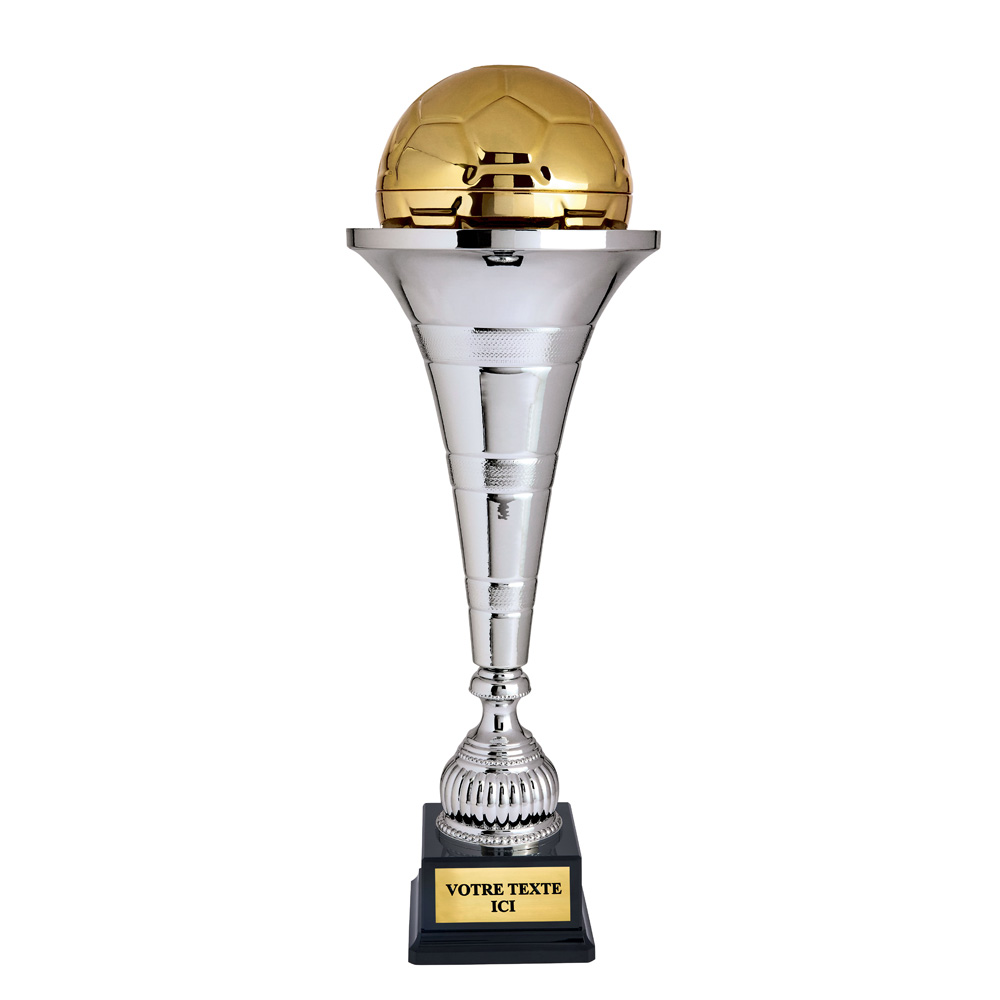 COUPE DISCIPLINE ARGENT / OR 63 CM - CP5374