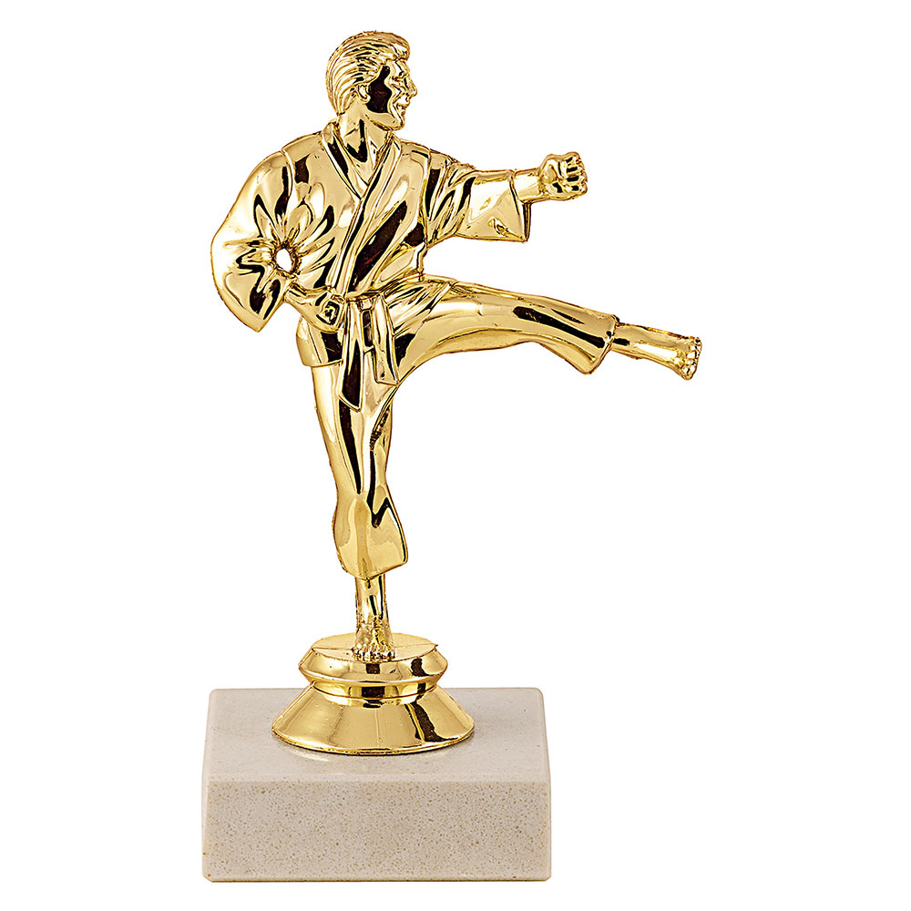 TROPHÉE SUJET PLASTIQUE OR KARATÉ 15 CM - MSJ042