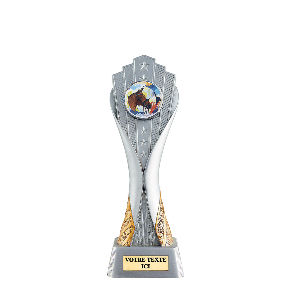 TROPHÉE RÉSINE TOUTES DISCIPLINES 25 CM - RS3452
