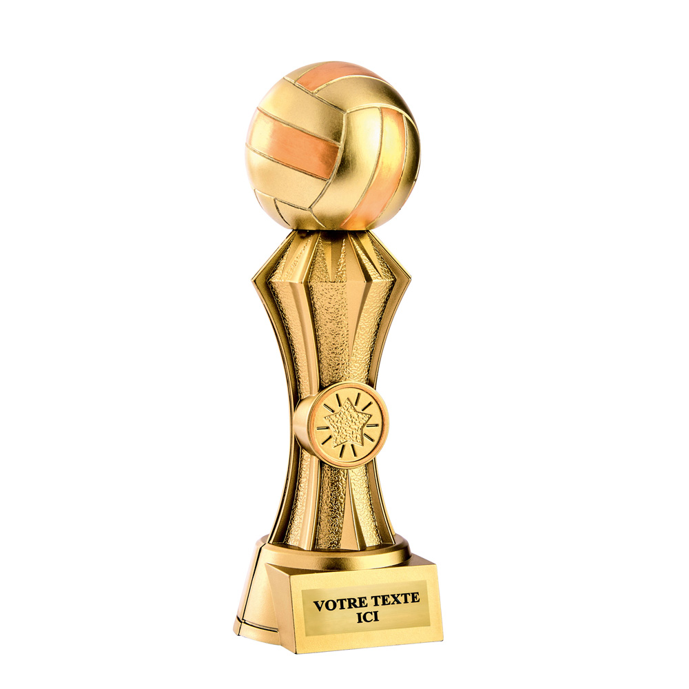 TROPHÉE RÉSINE DISCIPLINE OR VOLLEY-BALL 20 CM - RS5148