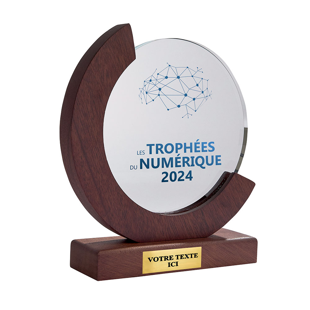 TROPHÉE VERRE ET BOIS PERSONNALISABLE TRANSPARENT - TV5096A