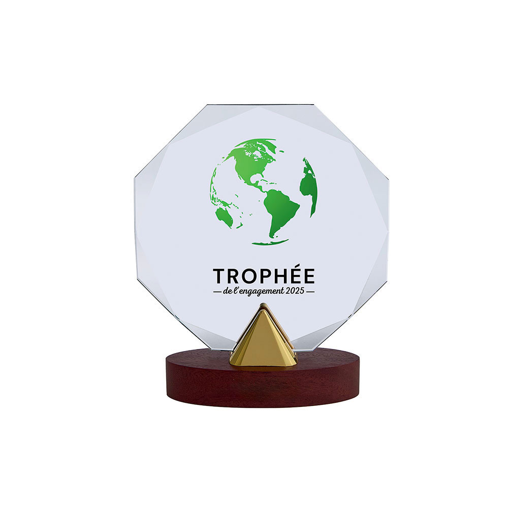 TROPHÉE VERRE PERSONNALISABLE TRANSPARENT - TV5102A