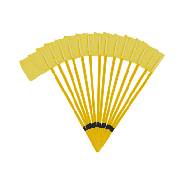 LOT DE 14 POTEAUX DE TOUCHE FLEXIBLES RUGBY