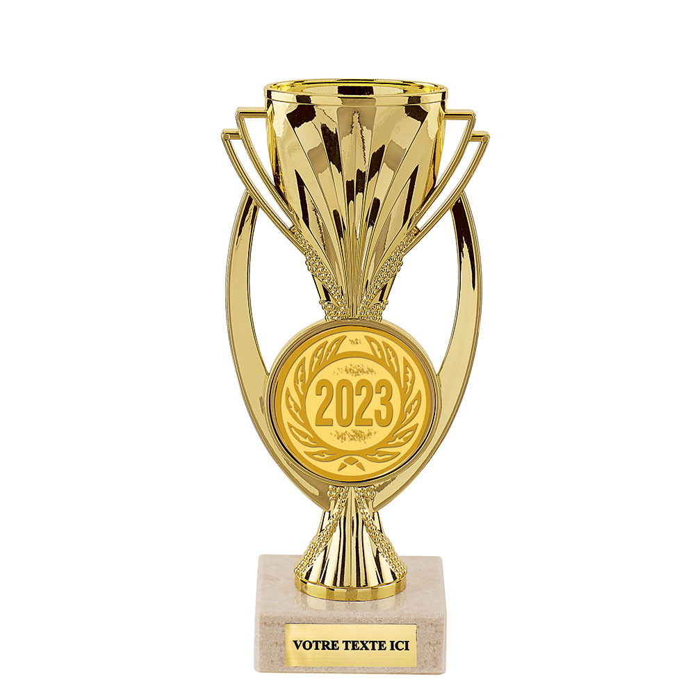 PETIT TROPHEE PLASTIQUE PERSONNALISE 18 CM TP4831