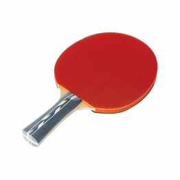 RAQUETTE DE TENNIS DE TABLE MASTER